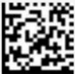 Socket Mobile DuraScan D760 - Product Disposal - 9