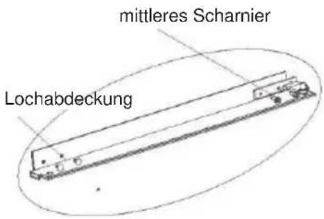 mittleres Scharnier Lochabdeckung