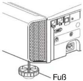 Fuß