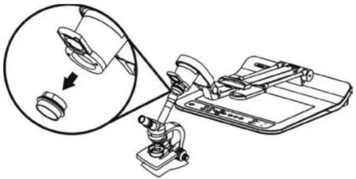 Lumens PS752 - Chapter 8 Connecting to Microscope - 1
