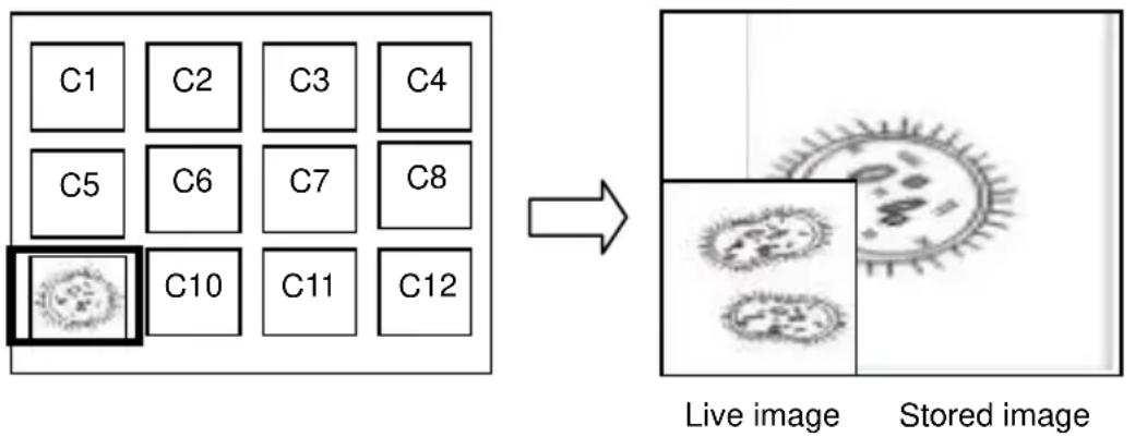 Lumens PS752 - I would like to compare images (compare live images with stored image files (PIP)) - 1