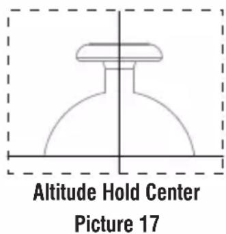 Altitude Hold Center Picture 17