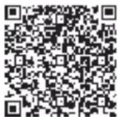 SereneLife Discovery 2 - Download and Install the APP: Flyingsee - 2