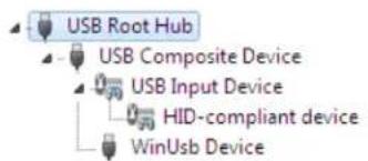 Avocor AVF-8650 - Automatic Driver Installation - 4