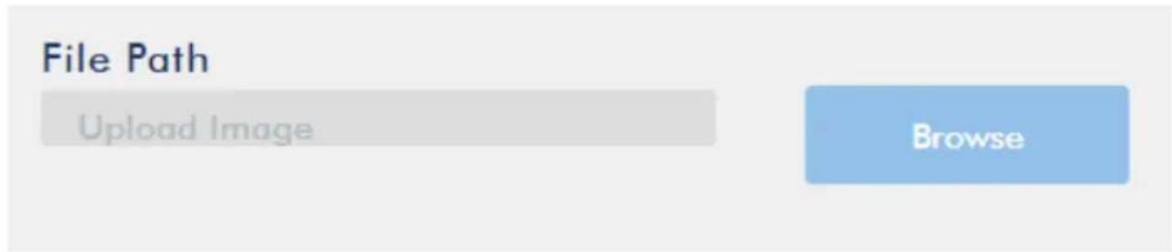 File Path Upload Image Browse