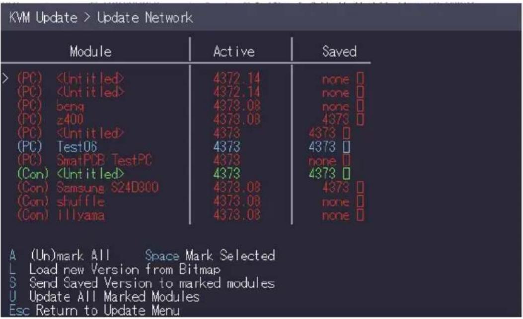 KVM-TEC Smartline SVX2R - PERFORMING A NETWORK UPDATE - 1