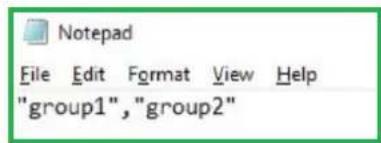 BirdDog Eyes A200 - NDI Group List - 1