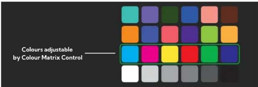 BirdDog Eyes A200 - Using a Colour Chart - 1