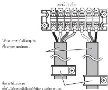 thermostenium and boronate ใช้ประเภทการไฟที่ระบุและ เซ็นต่ออย่างน่านหนา. อีดสาห์ไม่นนทบ เพื่อให้เหตุกต้องอีดทําให้เกิดความค้น pathways. มีลมิ่มนักเล็กกม