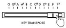 KORG Concert C-550 - - Move the [KEY TRANSPOSE] slider to the desired key. - 1