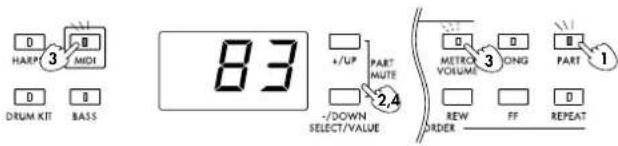 HARP MIDI DRUM KIT BASS 83 +/UP PART MUTE -/DOWN SELECT/VALUE METRO VOLUME LONG PART REW FF REPEAT ORDER