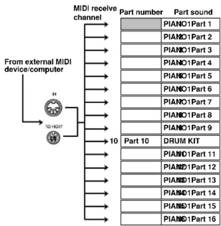 KORG Concert C-550 - MIDI channel settings - 6