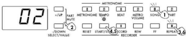 02 +/UP PART MUTE -/DOWN SELECT/VALUE METRONOME METRONOME TEMPO BEAT METRO VOLUME SONG PART RESET START/STRECORD REWARD RECORD ORDER FF REPEAT