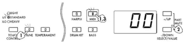 LIGHT US STANDARD JLO CHEAVY TOUC CONTRO 1 TUNE TEMPERAMENT HARPSI MIDI 1,3 DRUM KIT BASS - /UP PART MUTE 2 -/DOWN SELECT/VALUE