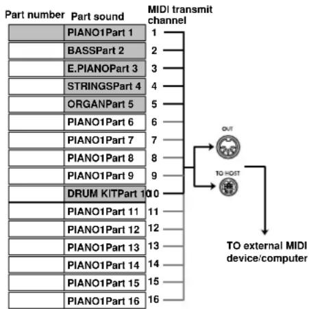 Part number Part sound PIANO1Part 1 BASSPart 2 E.PIANOPart 3 STRINGSPart 4 ORGANPart 5 PIANO1Part 6 PIANO1Part 7 PIANO1Part 8 PIANO1Part 9 DRUM KITPart 10 PIANO1Part 11 PIANO1Part 12 PIANO1Part 13 PIANO1Part 14 PIANO1Part 15 PIANO1Part 16 MIDI transmit channel 1 2 3 4 5 6 7 8 9 10 11 12 13 14 15 16 OUT TO HOST TO external MIDI device/computer