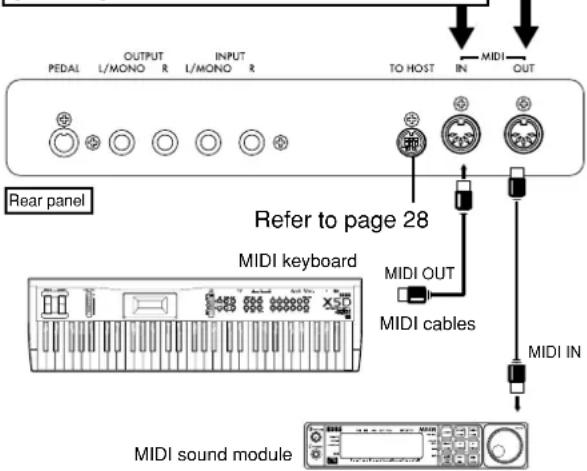 PEDAL OUTPUT INPUT TO HOST IN MIDI OUT L/MONO R L/MONO R Refer to page 28 MIDI keyboard MIDI OUT MIDI cables MIDI IN MIDI sound module