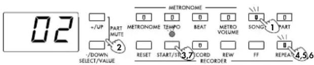 02 +/UP PART MUTE - /DOWN SELECT/VALUE 2 METRONOME 0 0 0 0 METRONOME TEMPO BEAT METRO VOLUME SONG 1 PART RESET START/ST3.7 CORD REW FF REPEAT 4.5.6 RECORDER