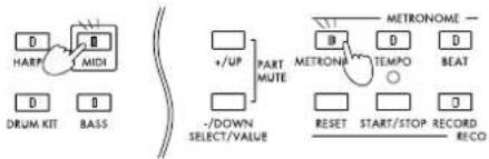 HARP MIDI DRUM KIT BASS +/UP PART MUTE -METRONOME B D -/-DOWN SELECT/VALUE +UP METRONOME TEMPO BEAT RESET START/STOP RECORD RECO