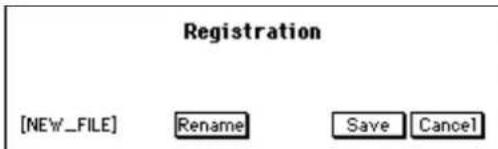 Registration [NEW_FILE] Rename Save Cancel