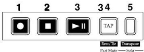 1 2 3 3 4 5 Rest/Tie Transpose Part Mute — Solo —