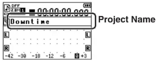 Project Name Downtime