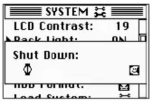 SYSTEM LCD Contrast: 19 Back Light: ON Shut Down: Mod Format: Load System: