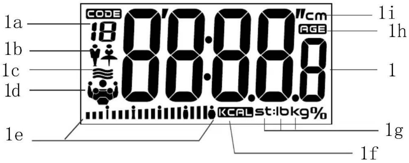CODE 18 0'0.0.0.0cm AGE 1i 1h 1 1c 1d 1e KCALst:lbkg% 1g 1f