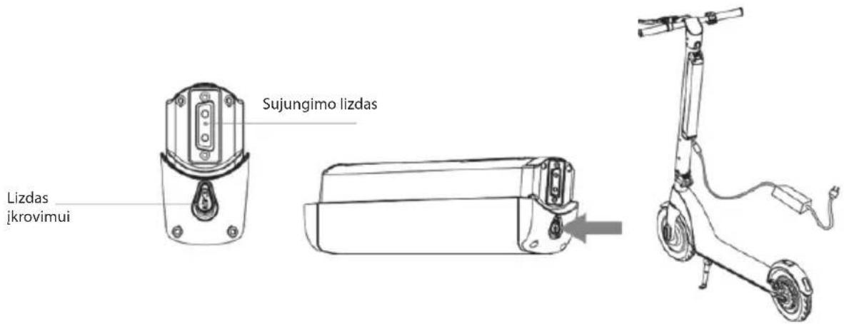 Sujungimo lizdas Lizdas jkrovimui
