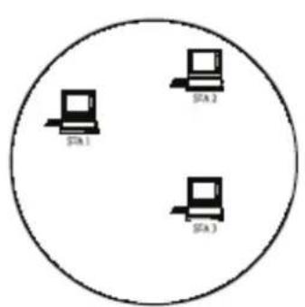 VIEWSONIC PJ-WPD-200 - Wireless LAN Basics - 1