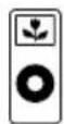 DICE I-BMW-T - Supported iPod models and firmware version requirements - 3
