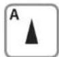 Pearl Sports NC-7158-675 - • Die DCF-Funktion - 1