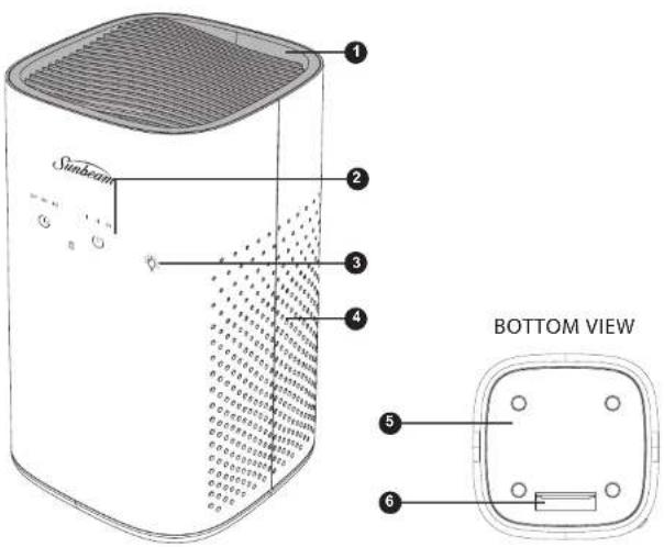 Sunbeam BOTTOM VIEW