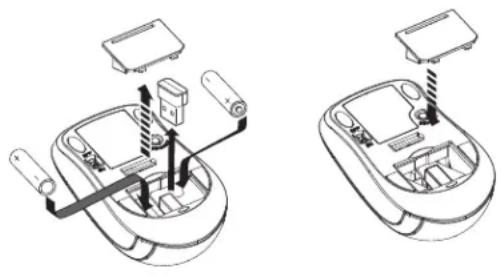 INFOCUS Mondopad INF6522 - Drahtlose Maus - 1