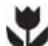 Zanussi-Electrolux ZWF 1211 W - Ecological hints - 1
