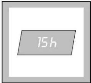 Zanussi-Electrolux ZWF 1440 - Delayed start - 1
