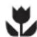 Zanussi-Electrolux ZWF 1621 S - Ecological hints - 1