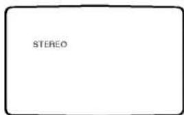STEREO