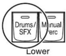 ROLAND AT-900C - Spielen der Schlagzeug-Klänge und Soundeffekte auf dem unteren Manual (Drums/SFX) - 1