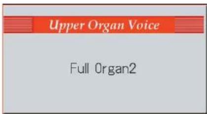 ROLAND AT-900C - Drücken Sie den Upper Organ [Full 2]-Taster (die Anzeige leuchtet). - 1