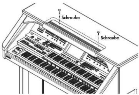 Schraube Schraube
