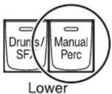 der Spielbereich für Drum-Sounds und Soundeffekte Lower Manual15 Tasten