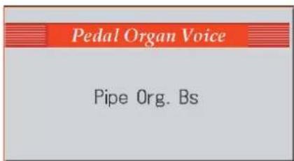 ROLAND AT-900C - Drücken Sie den Pedal Organ [Pipe]-Taster (die Anzeige leuchtet). - 1