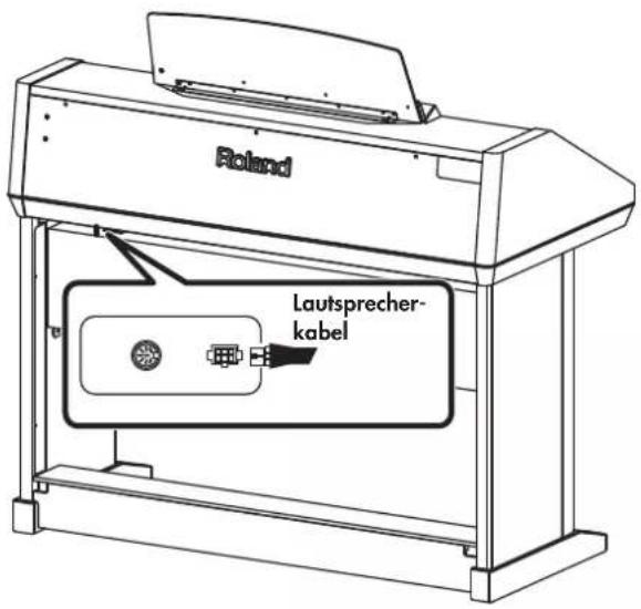 Roland Lautsprecher- kabel