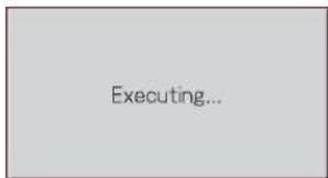 Executing...