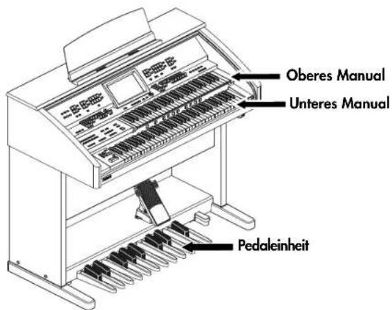 Oberes Manual Unteres Manual Pedaleinheit