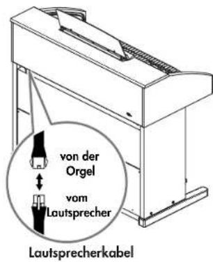 von der Orgel vom Lautsprecher Lautsprecherkabel