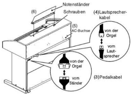 (6) Notenständer Schrauben (5) AC-Buchse (4)Lautsprecher- kabel von der Orgel vom Laut- sprecher von der Orgel vom Ständer (3)Pedalkabel