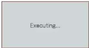 Executing...