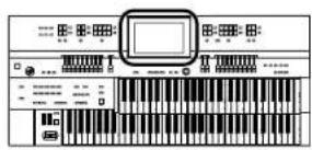 ROLAND AT-500 - Berühren Sie . - 3