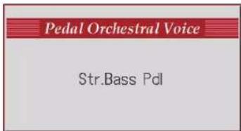 Pedal Orchestral Voice Str.Bass Pdl